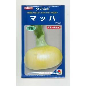 たまねぎ マッハ 20ml タキイ種苗(株)の商品画像