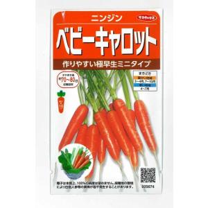 人参 ベビーキャロット ミニニンジン 約800粒 (株)サカタのタネ 実咲250 (003117)｜グリーンロフトネモト