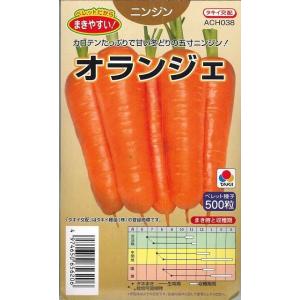 人参 オランジェ ペレット種子 500粒 タキイ...の商品画像