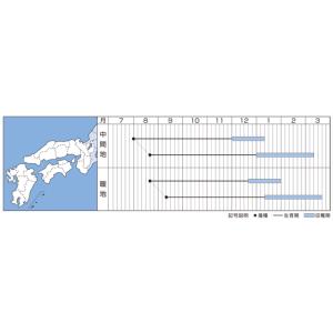人参 オランジェ ペレット種子 500粒 タキ...の詳細画像1