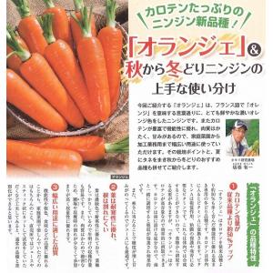 人参 オランジェ ペレット種子 500粒 タキ...の詳細画像2