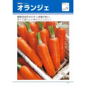 人参 オランジェ ペレット種子 500粒 タキ...の詳細画像4