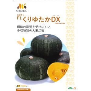 ねぎ 森の奏で ペレット種子5000粒 トキタ種苗 : グリーンロフトネモト