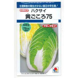 白菜 黄ごころ75 1ml(約160粒)タキイ種...の商品画像