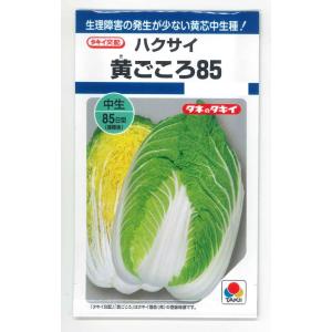 白菜 黄ごころ85 1ml (約130粒) タキイ種苗 (株) DF