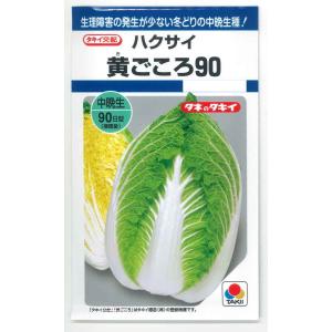 白菜 黄ごころ90 1ml (約220粒) タキイ種苗 (株) DF