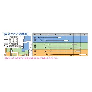 白菜 黄ごころ90 1ml (約220粒) タ...の詳細画像1