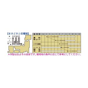 中玉トマト TYフルティカSC 100粒 タキ...の詳細画像1