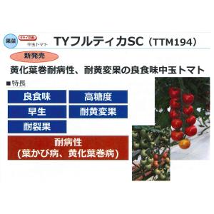 中玉トマト TYフルティカSC 100粒 タキ...の詳細画像2