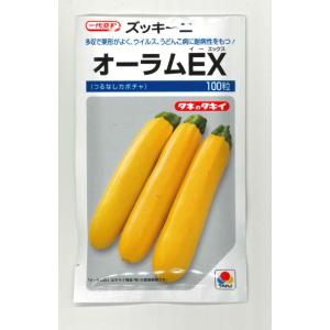 サカタのタネ（サカタノタネ） ズッキーニ ダークヤングマン 100粒