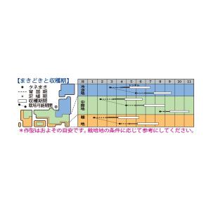 ズッキーニ ダイナーEX 100粒 タキイ種苗(株)の詳細画像1