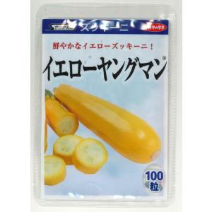 ズッキーニ イエローヤングマン 100粒（株）サカタのタネ｜グリーンロフトネモト