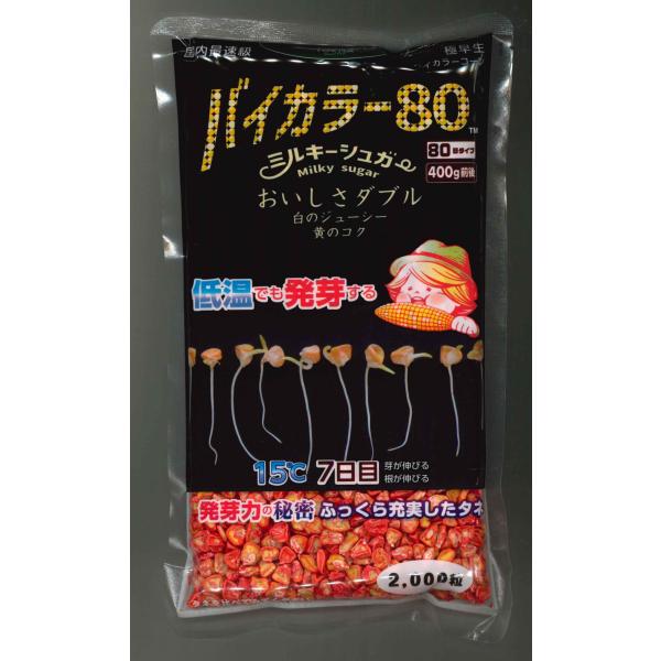 とうもろこし ミルキーシュガーバイカラー80　2000粒　トキタ種苗(株)