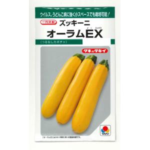 【希少】入荷しました！大人気！ブロッコリー種子 （SK9-099 )5000粒 SK9-099 ブロッコリー種子 ペレット5000粒 【野菜種子】【サカタのタネ