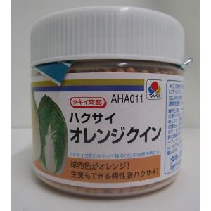 ねぎ 大河の轟きペレット種子5千粒 トキタ種苗 : グリーンロフトネモト