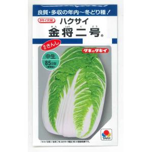 白菜 金将二号 2.2ml (約280粒)タキイ...の商品画像