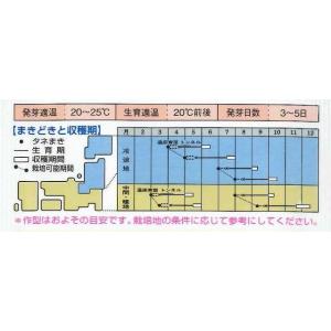 白菜 CRお黄にいり 1.8ml (約300粒...の詳細画像1