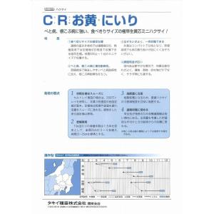 白菜 CRお黄にいり 1.8ml (約300粒...の詳細画像3
