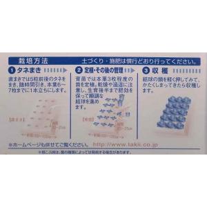 白菜 CRお黄にいり ペレット100粒 タキイ...の詳細画像2
