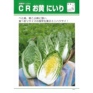 白菜 CRお黄にいり ペレット100粒 タキイ...の詳細画像3