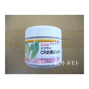 白菜 CRお黄にいり ペレット 5000粒 タキイ種苗（株）
