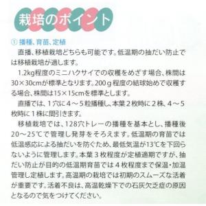 白菜 タイニーシュシュ 約300粒 (株)サカ...の詳細画像1