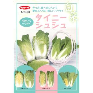 白菜 タイニーシュシュ 約300粒 (株)サカ...の詳細画像4