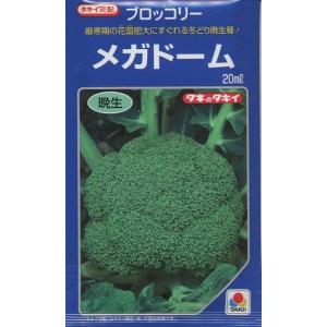 サカタのタネ ブロッコリー アーリーキャノン 2000粒 : 種苗・園芸