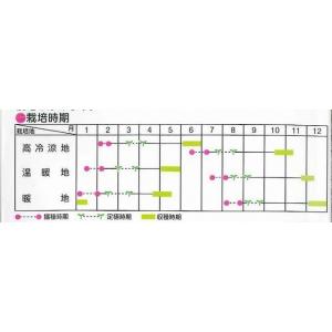 ブロッコリー グランドーム ペレット種子 12...の詳細画像1