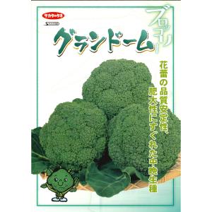 ブロッコリー グランドーム ペレット種子 12...の詳細画像4
