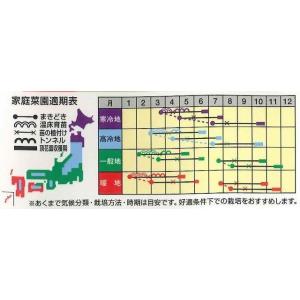 ブロッコリー 夢ひびき 0.7ml(90粒) ...の詳細画像1