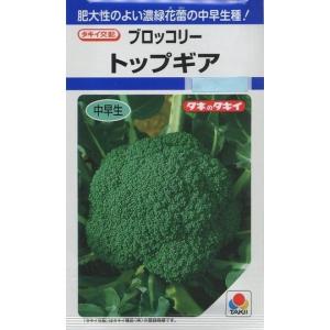 サカタのタネ（サカタノタネ） ねぎ 冬扇シオン ペレット種子 6千粒
