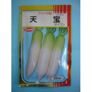 大根 天宝 20ml （株）サカタのタネ