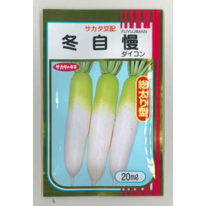 大根　冬自慢　20ml　（株）サカタのタネ