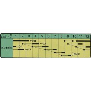 わさび菜 6ml(約2600粒) 中原採種場(株)の詳細画像2