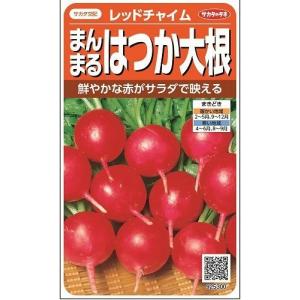 二十日大根 レッドチャイム 約350粒 (株)サカタのタネ 実咲350 (003093)｜グリーンロフトネモト