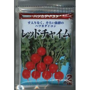 二十日大根 はつかだいこん レッドチャイム 2dl （株）サカタのタネ