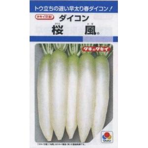 タキイ交配 三太郎大根 タキイ種苗の短形大根の種です : GREEN DEPO