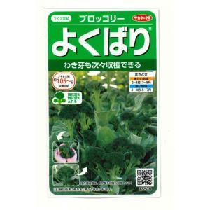 ブロッコリー よくばり(約50粒) (株)サカタのタネ 実咲450(203245)