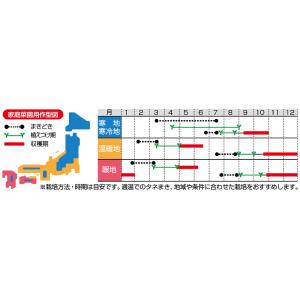 ブロッコリー よくばり(約50粒) (株)サカ...の詳細画像3