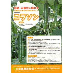きゅうり コラソン 350粒(株)ときわ研究場の詳細画像1