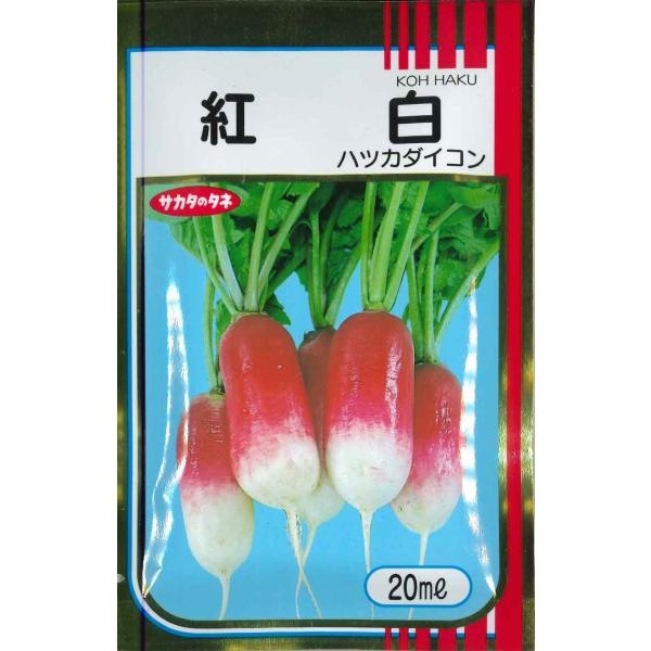 二十日大根 はつかだいこん 紅白 20ml （株）サカタのタネ