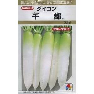 とうもろこし ミルキーシュガー 85(2000粒) トキタ種苗 : グリーン