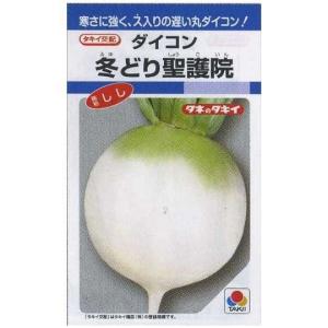 大根 冬どり聖護院 18ml タキイ種苗(株) DFの商品画像