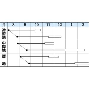 大根 冬どり聖護院 18ml タキイ種苗(株) DFの詳細画像1