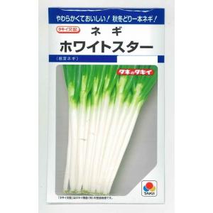 ねぎ 大河の轟き 5ml 裸種子(約675粒) トキタ種苗 : グリーンロフト
