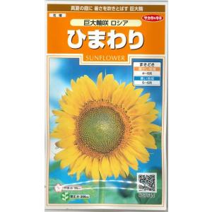 花の種　ひまわり　巨大輪咲　ロシア　約20粒　　（株）サカタのタネ　実咲200