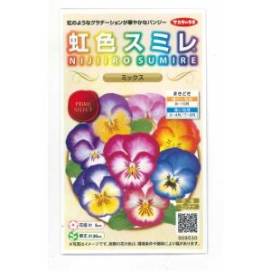 花の種　パンジー　虹色スミレ　ミックス　0.1ml（約35粒）　（株）サカタのタネ　実咲500