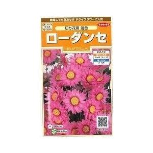 花の種ローダンセ 切花用混合 小袋 サカタのタネ 実咲150 2844 グリーンロフトネモト 通販 Yahoo ショッピング