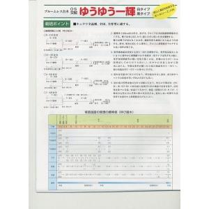 台木(きゅうり用) ゆうゆう一輝(黒種) 35...の詳細画像1